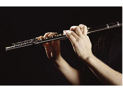 招聘焦作长笛家教老师